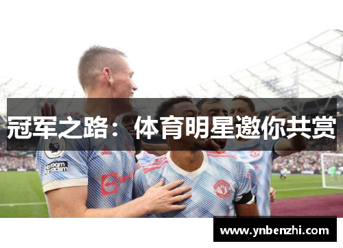 冠军之路：体育明星邀你共赏