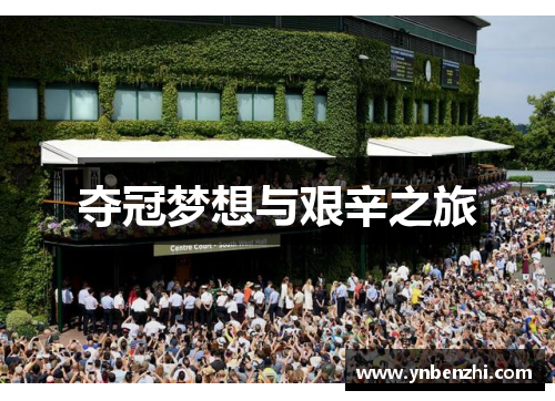 夺冠梦想与艰辛之旅